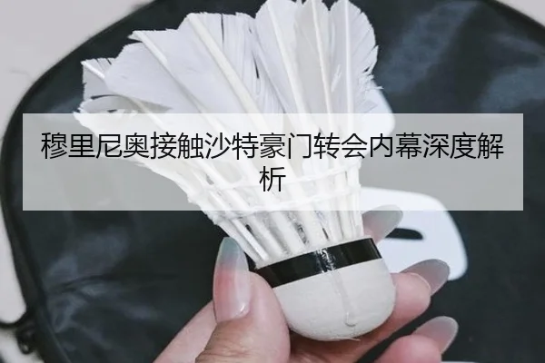 穆里尼奥接触沙特豪门转会内幕深度解析
